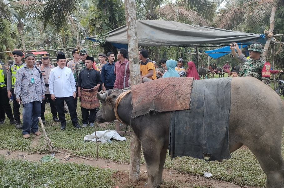 Gubernur Jambi Al Haris saat menghadiri bantai adat di Tabir