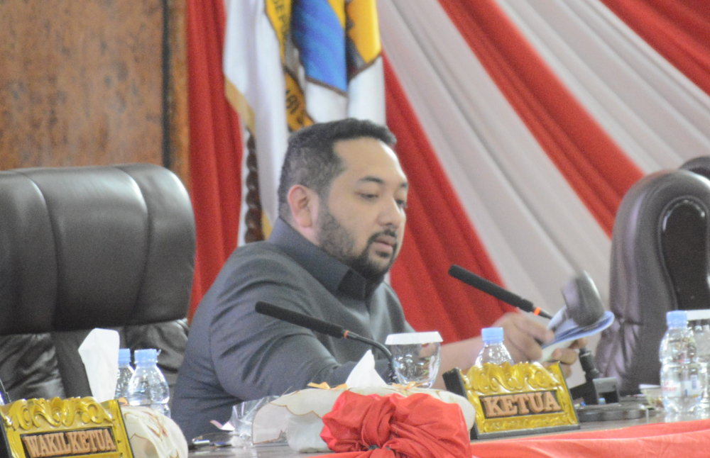 Wakil Ketua DPRD Provinsi Jambi, Pinto Jayanegara 