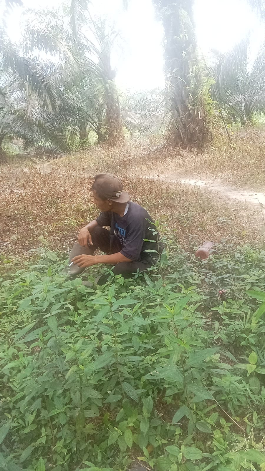 Al Haris Dikukuhkan Sebagai Ketua DMDI Provinsi Jambi. Foto dok Kominfo Provinsi Jambi